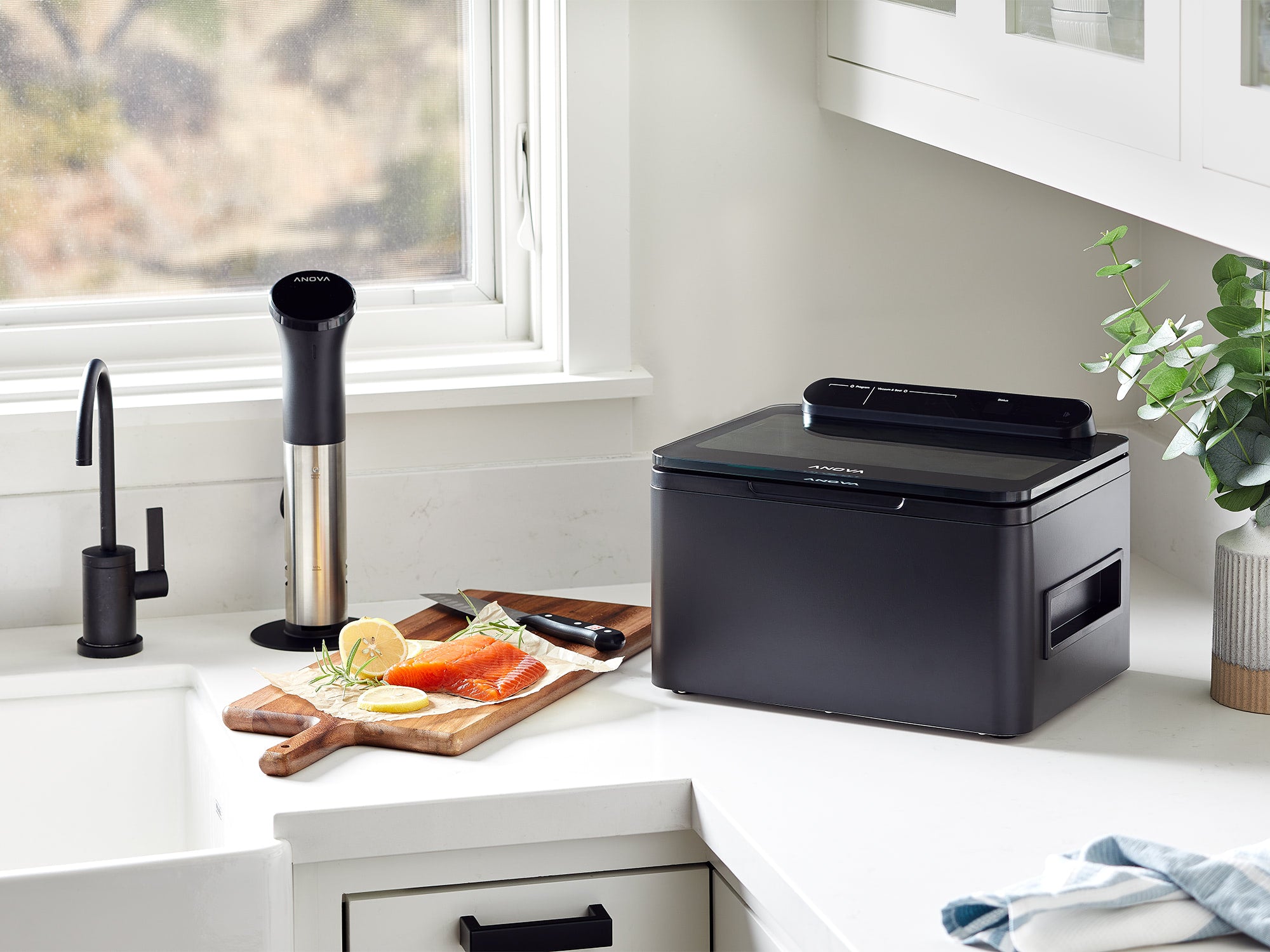 Precision 密室式真空封口機 (ANCV01-UK00)