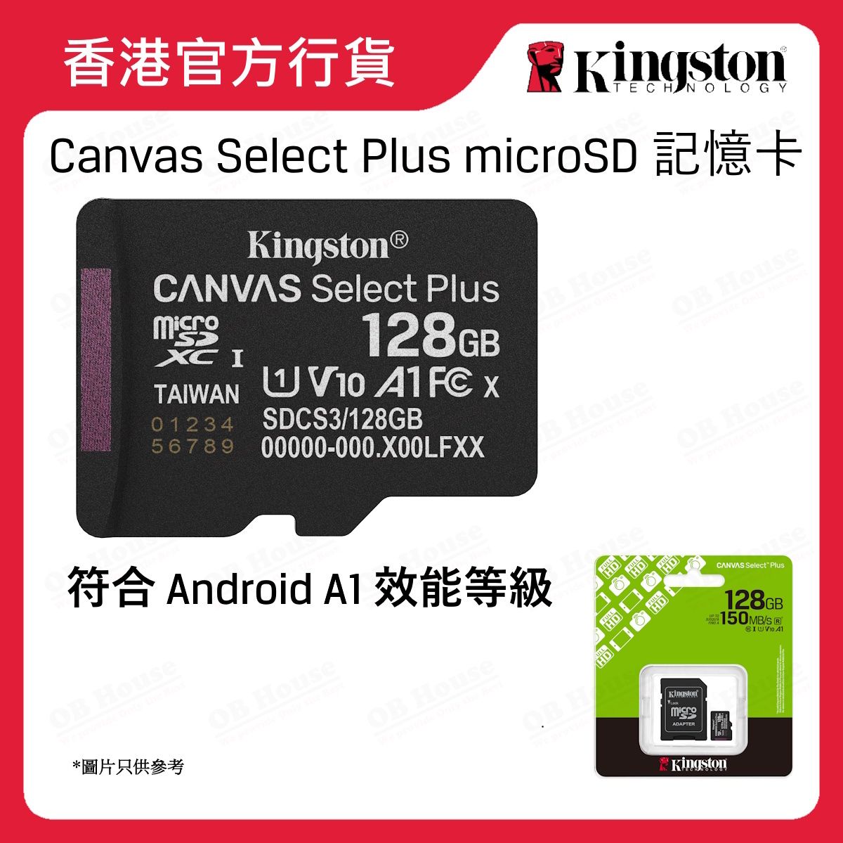 Canvas Select Plus microSD 記憶卡 (SDCS3)