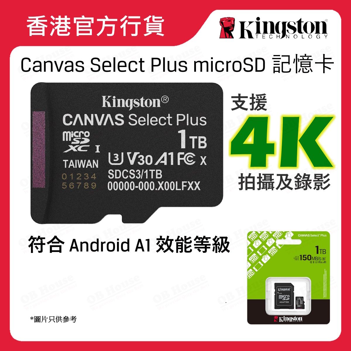 Canvas Select Plus microSD 記憶卡 (SDCS3)