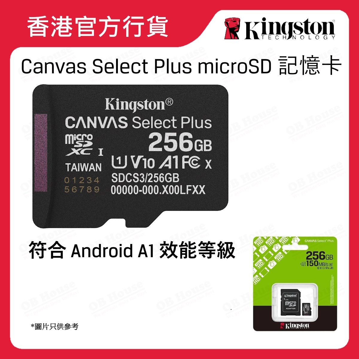 Canvas Select Plus microSD 記憶卡 (SDCS3)