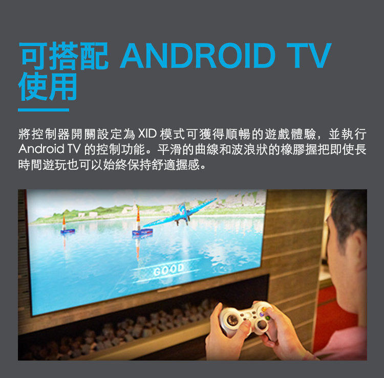 F310 遊戲控制器 (940-000112)