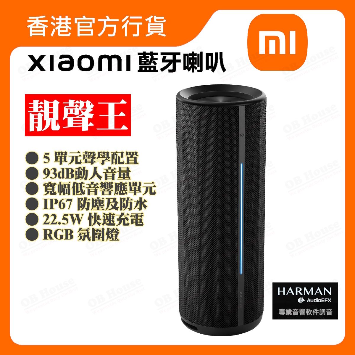 Xiaomi 藍牙喇叭 (QBH4275GL)
