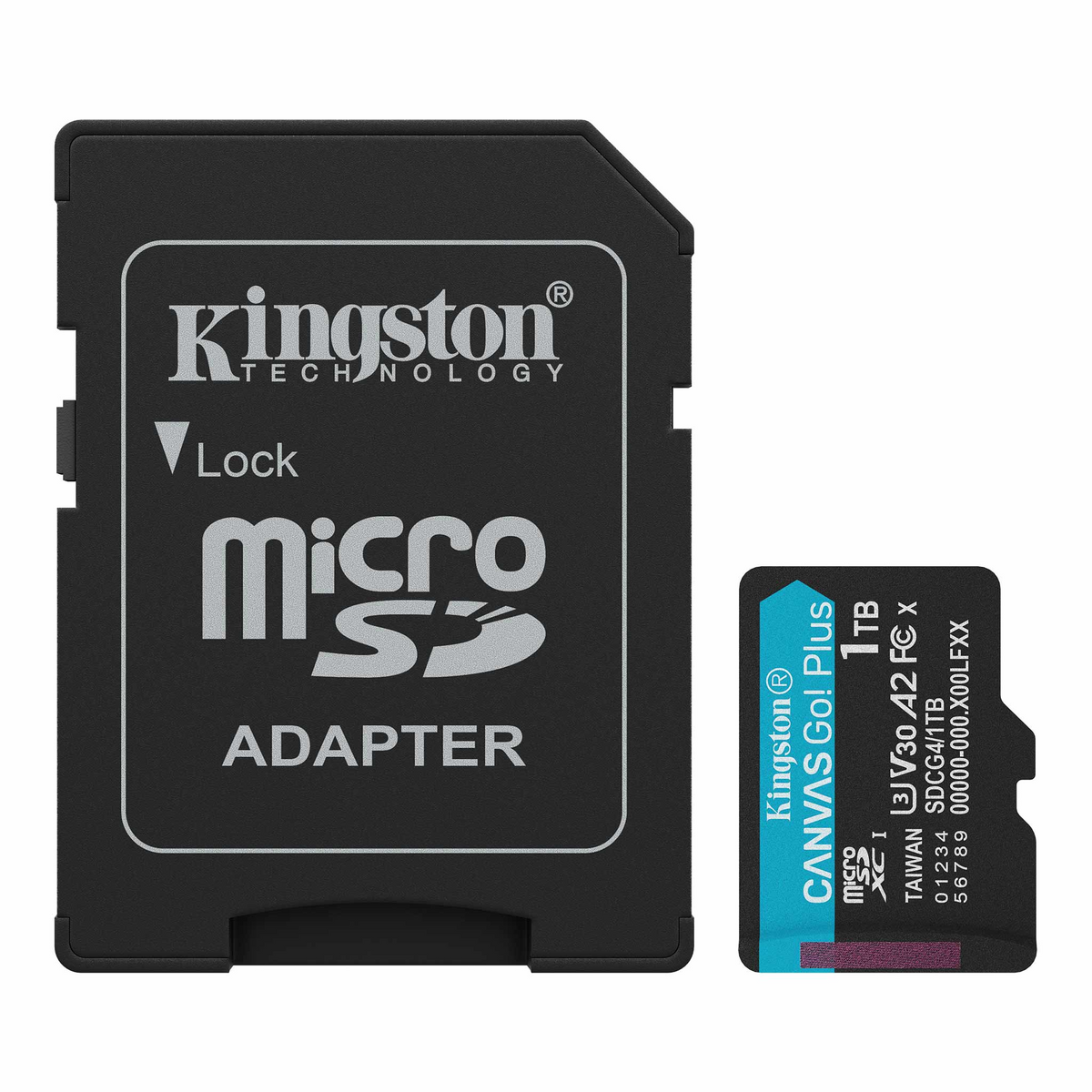 Canvas Go!Plus microSD 記憶卡 (SDCG4)