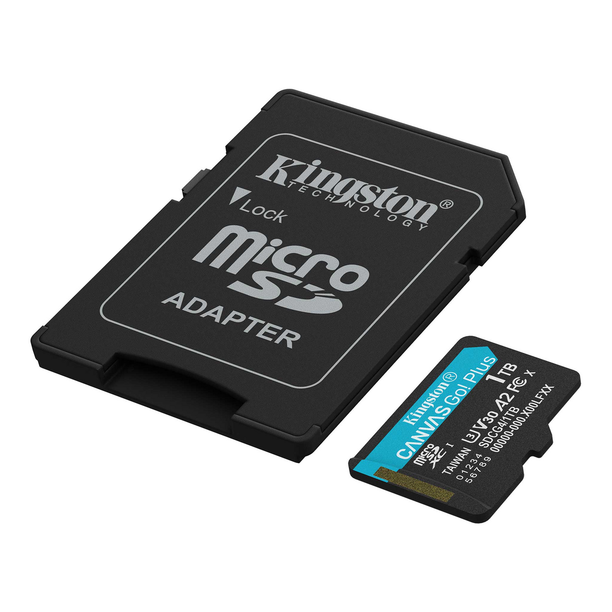 Canvas Go!Plus microSD 記憶卡 (SDCG4)