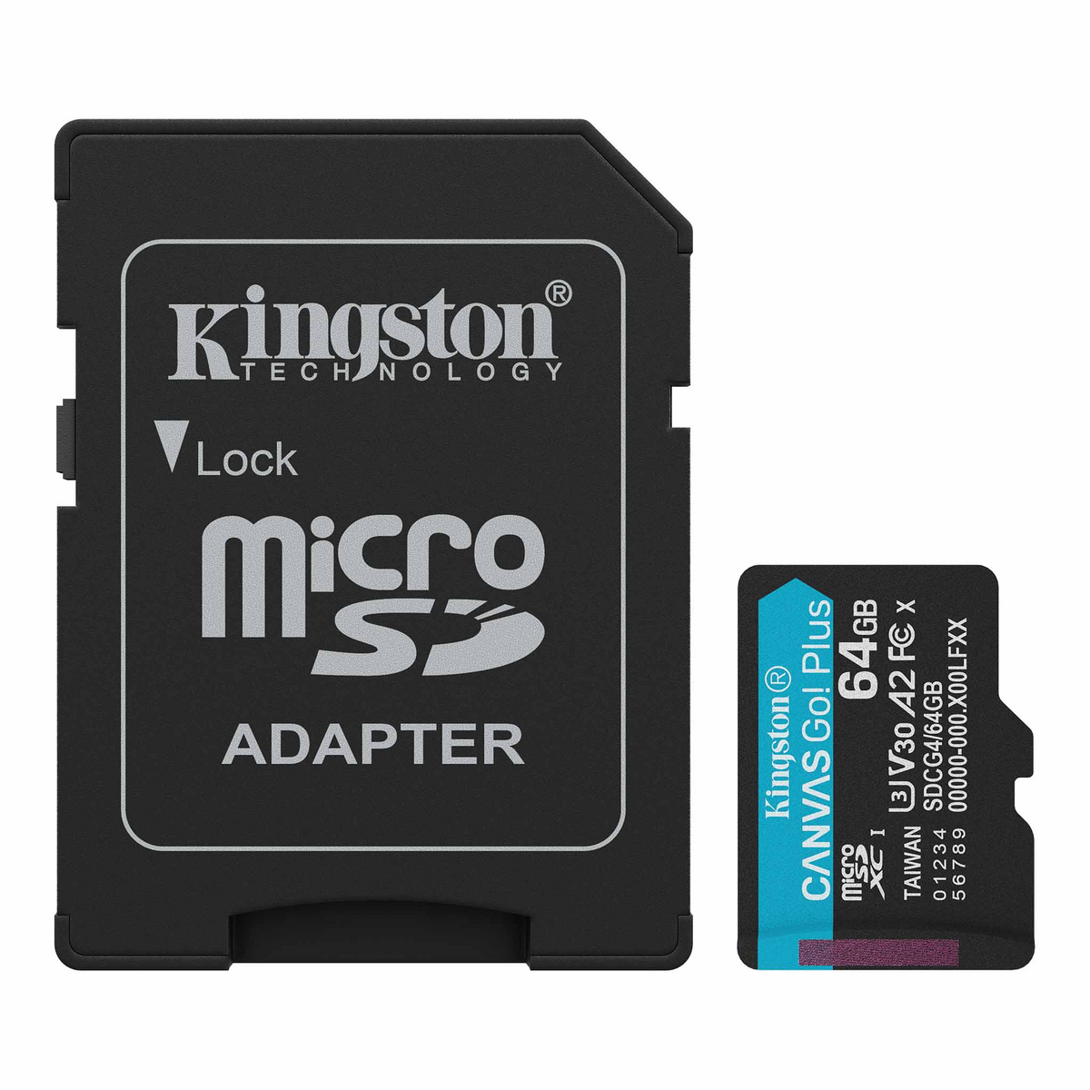 Canvas Go!Plus microSD 記憶卡 (SDCG4)