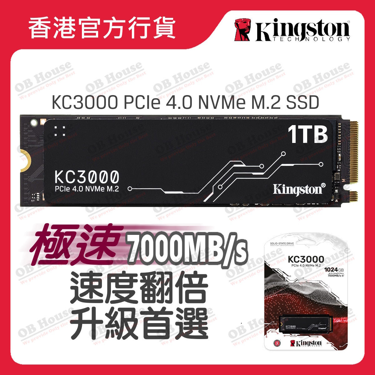 KC3000 PCIe 4.0 NVMe M.2 SSD 固態硬碟 (SKC3000)